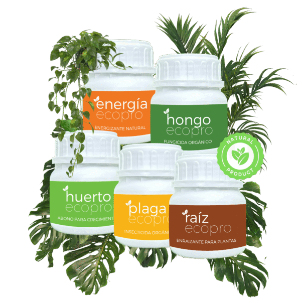 PACK LÍNEA ECOPRO