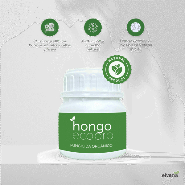 ECOPRO HONGO - Imagen 2