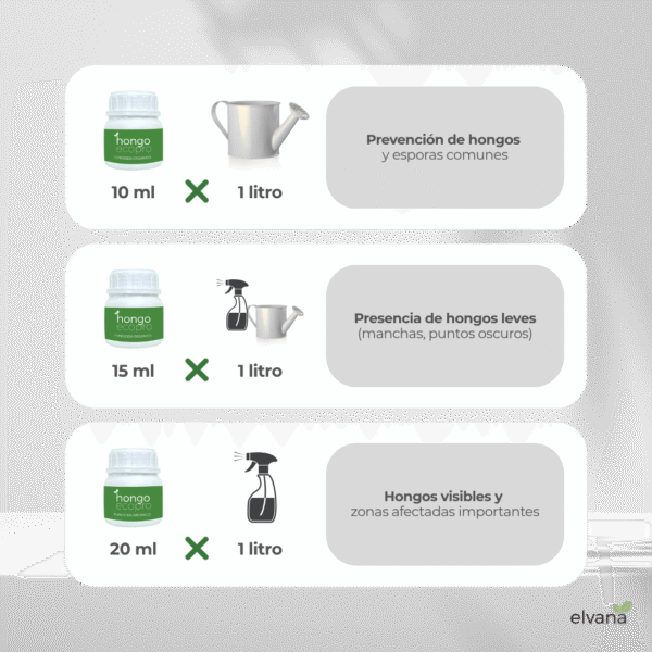 ECOPRO HONGO - Imagen 3